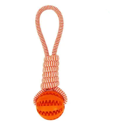 Pelota Interactiva Con Cuerda