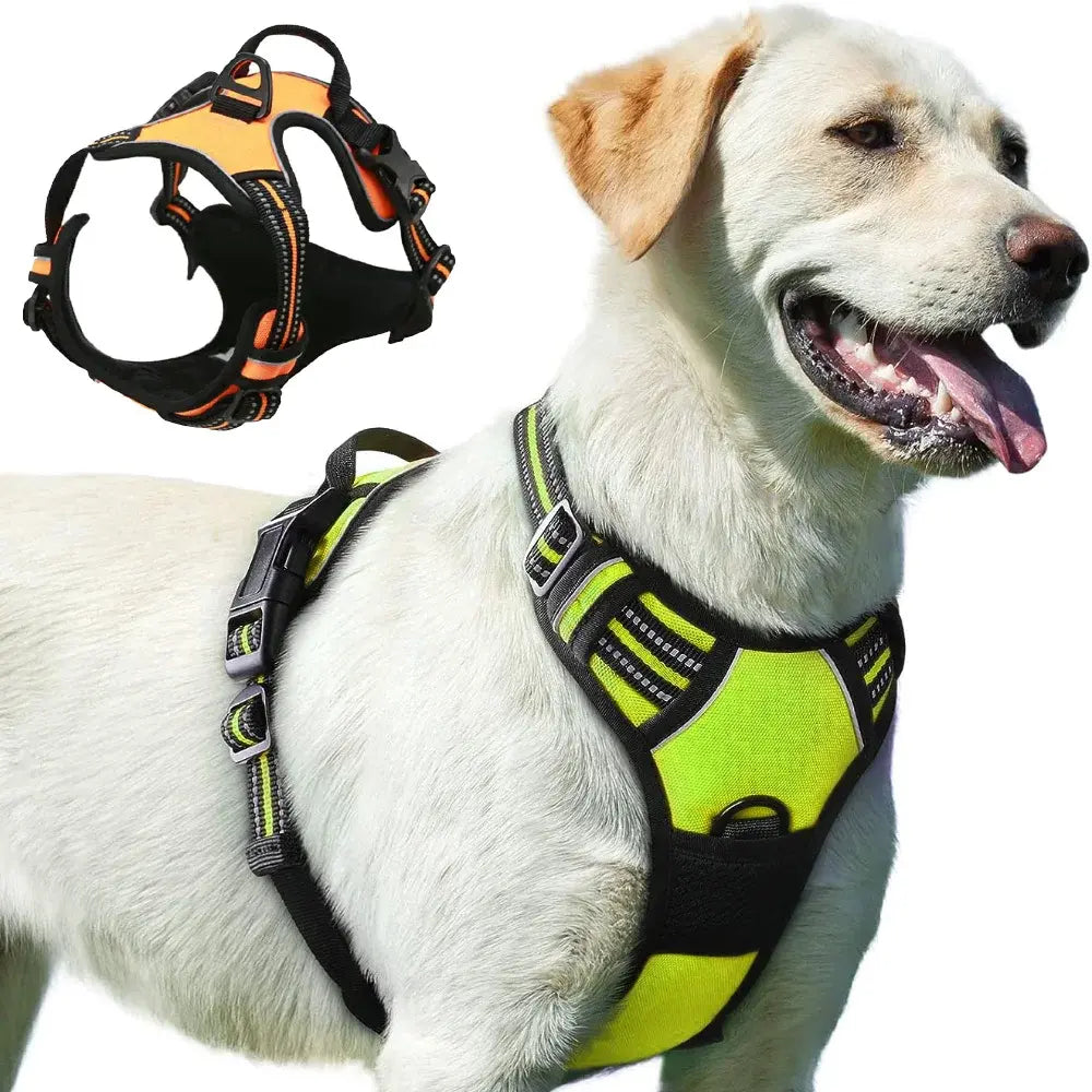 Arnés Estelar Para Perros