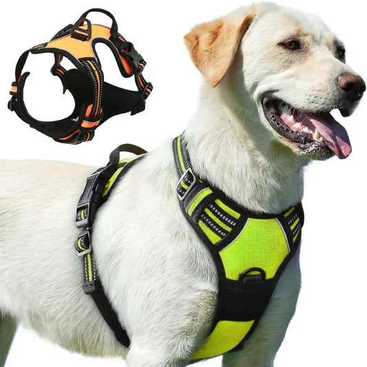 Arnés Estelar Para Perros