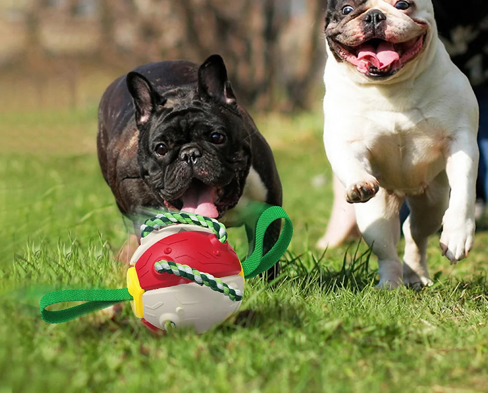 Pelota Interactiva Para Perros Peppe