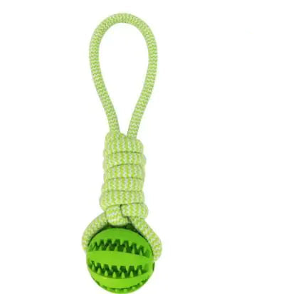 Pelota Interactiva Con Cuerda