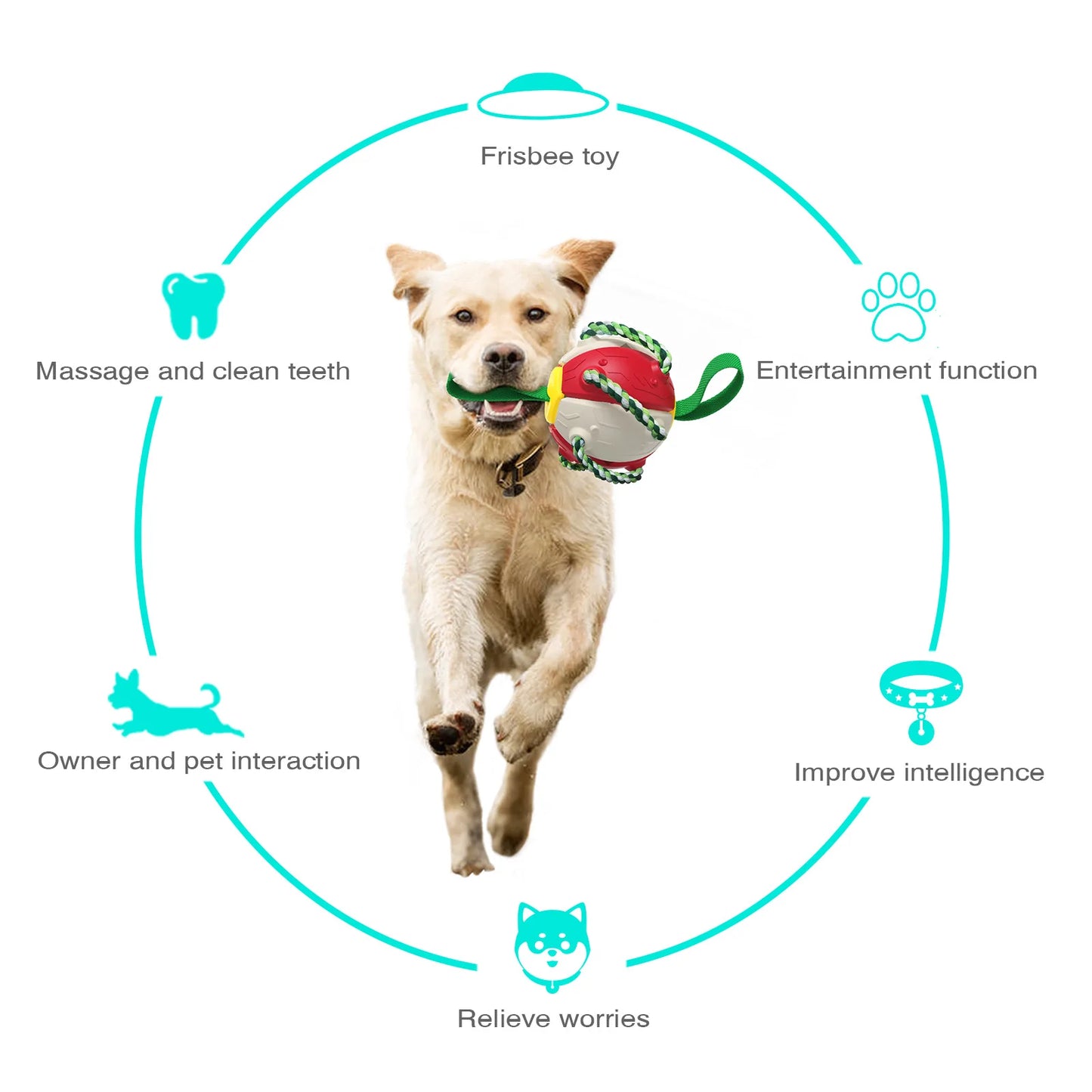 Pelota Interactiva Para Perros Peppe