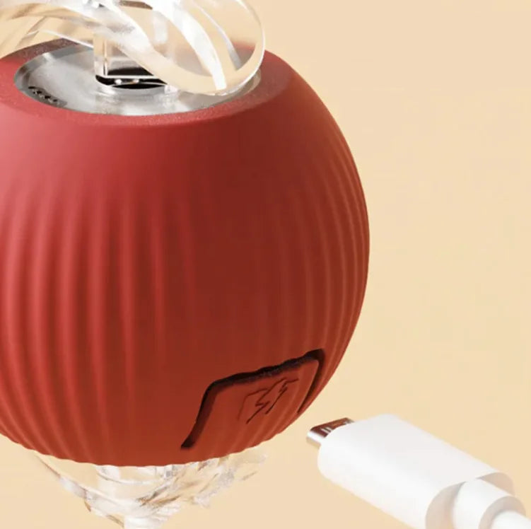 Pelota Rodante Automática