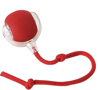 Pelota Rodante Automática