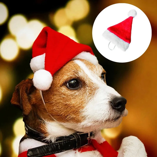 Gorro Navideño de Papá Noel Para Perro