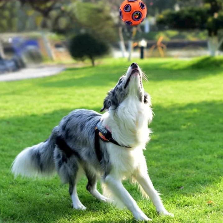 Juguete Masticable Interactivo Para Perro