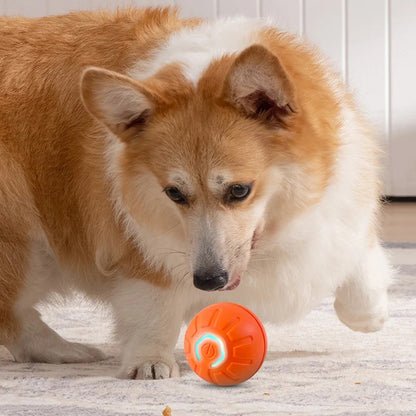 Pelota Inteligente Interactiva